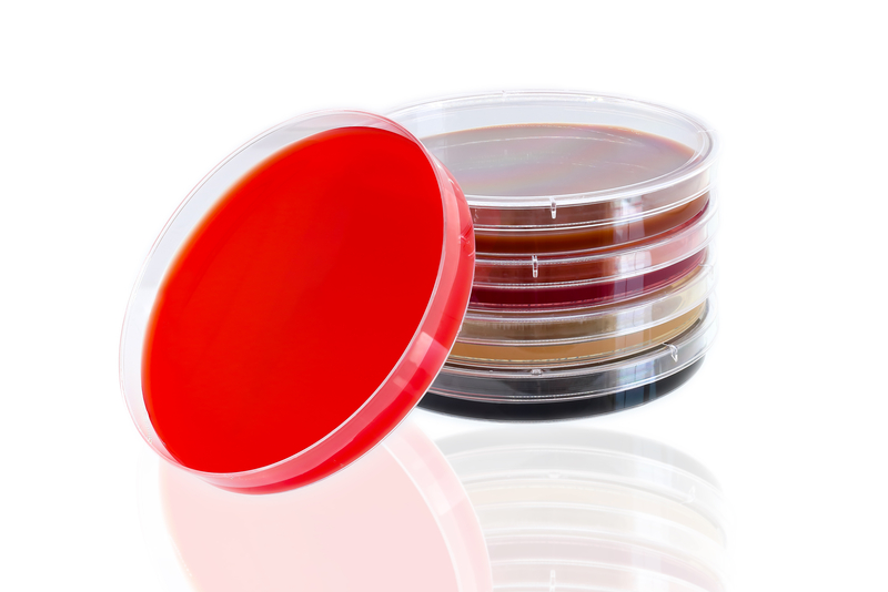 Thermo Scientific Sterilin Standard Petri Dishes